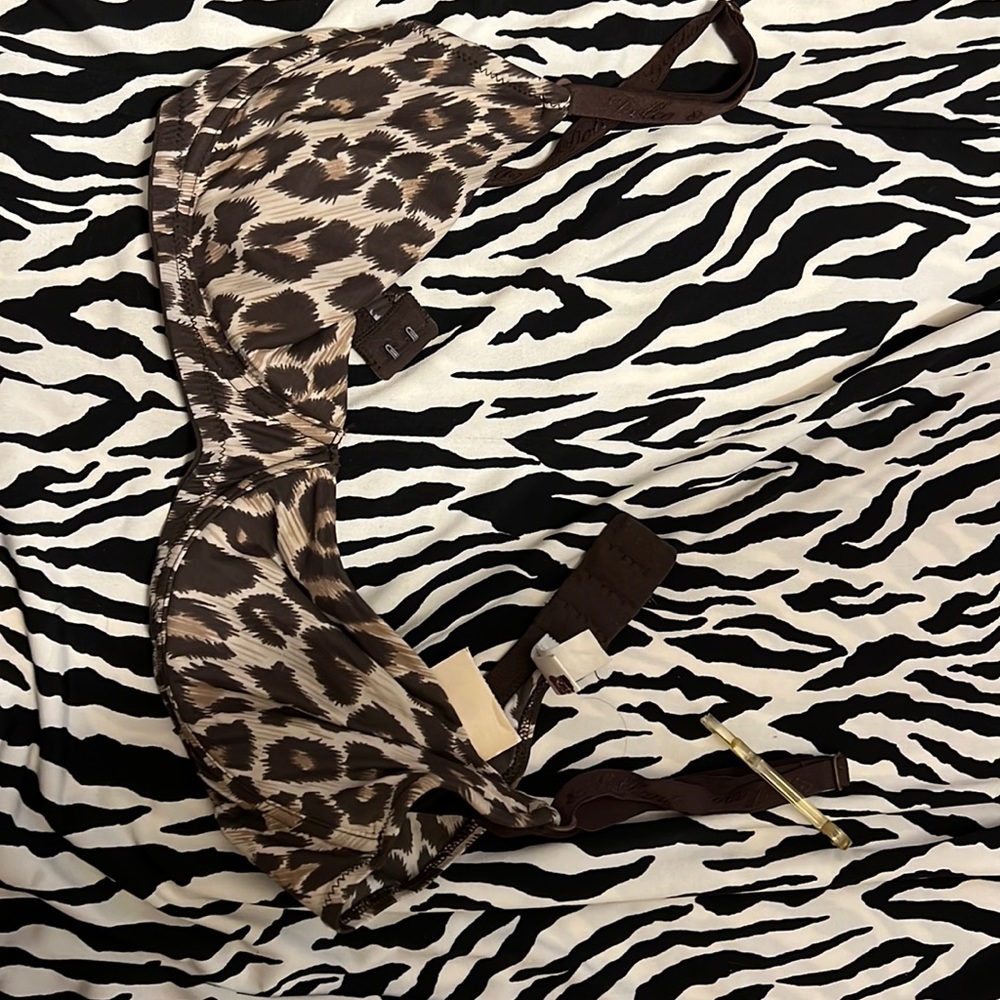 Authentic New Dolce Gabbana Leopard 34C bra